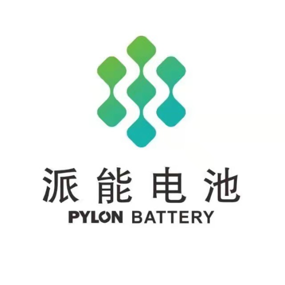 中兴派能